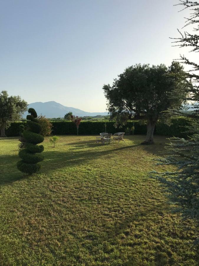 Villa Laregina Grisolia Exterior foto